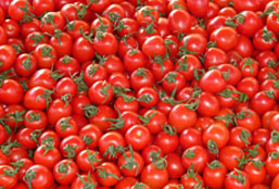 ddos压力在线测试平台