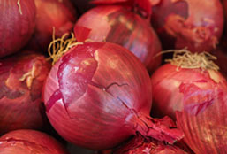 高效实用优质的ip攻击器网页版